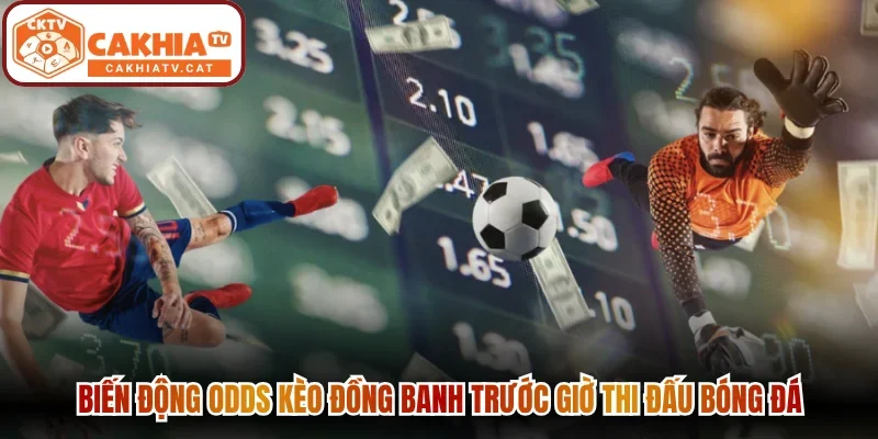 Biến động odds kèo đồng banh trước giờ thi đấu bóng đá