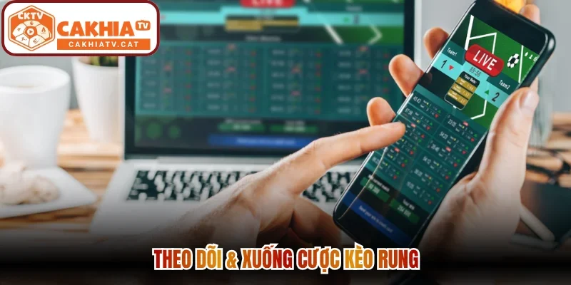 Theo dõi & xuống cược kèo rung