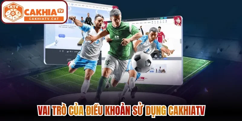 Vai trò của điều khoản sử dụng Cakhiatv